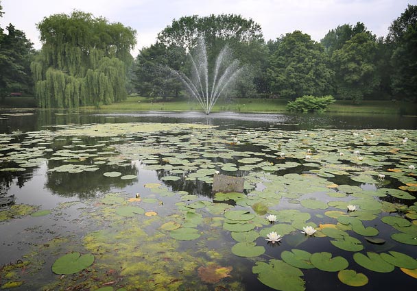 uitvaartcentrum utrecht in het gedenkpark daelwijck Yarden Uitvaartcentrum Utrecht in het Gedenkpark Daelwijck