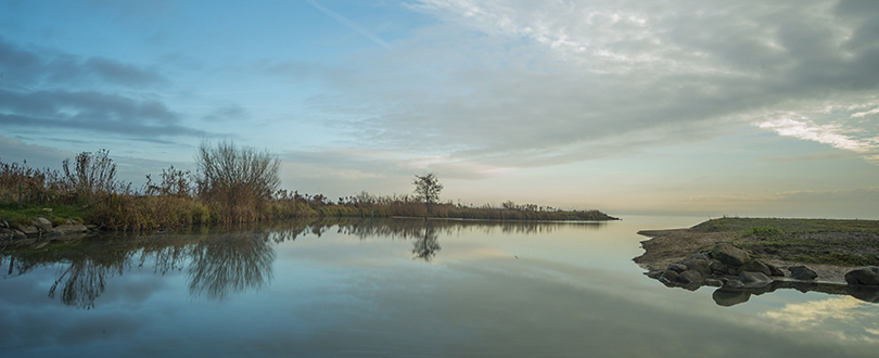 Hoorn_Marlies_Schoneveld