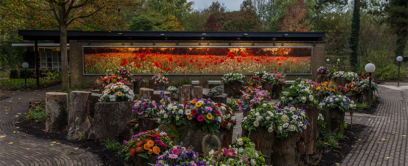 Bloementafel Groningen - content