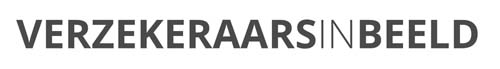 Logo Verzekeraars in Beeld Logo Verzekeraars in Beeld