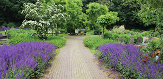 crematorium-slangenburg-lavendel Rustgevende lavendeltuin bij crematorium Slangenburg