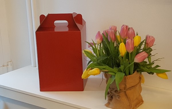Doos met asbus en bos tulpen