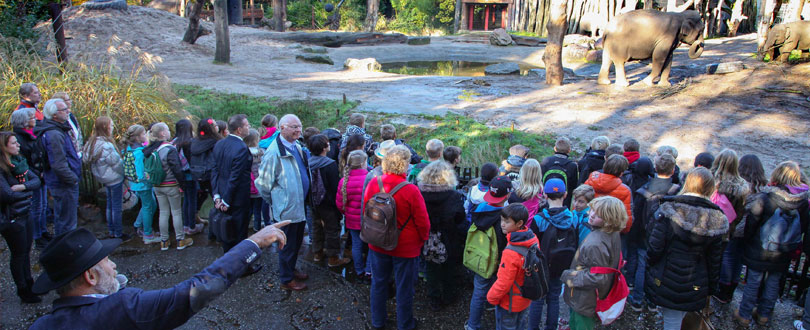 onderwijsproject-levendood-olifant Onderwijsproject leven en dood voor kinderen