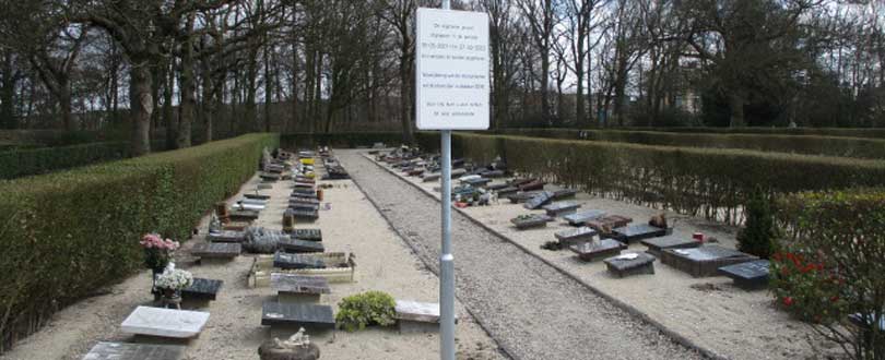 Melding ruiming graven Beukenhof Schiedam